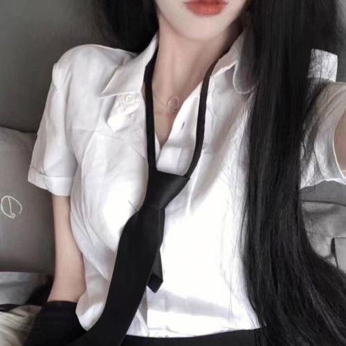 昭昭如雪